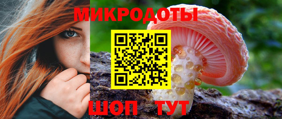 Псилоцибиновые грибы Psilocybine cubensis Кандалакша
