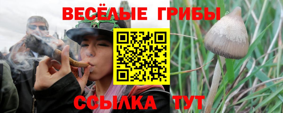 Псилоцибиновые грибы Magic Shrooms  Псилоцибиновые грибы MAGIC MUSHROOMS  Кандалакша  где продают   Вход с VPN 